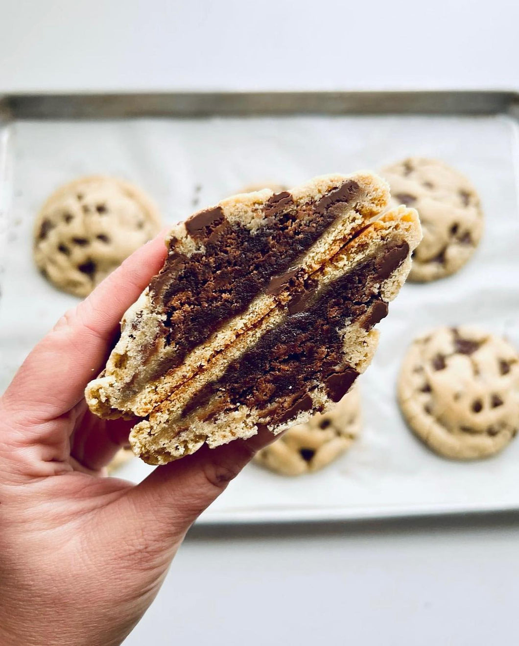 Chocolate Chip Brownie